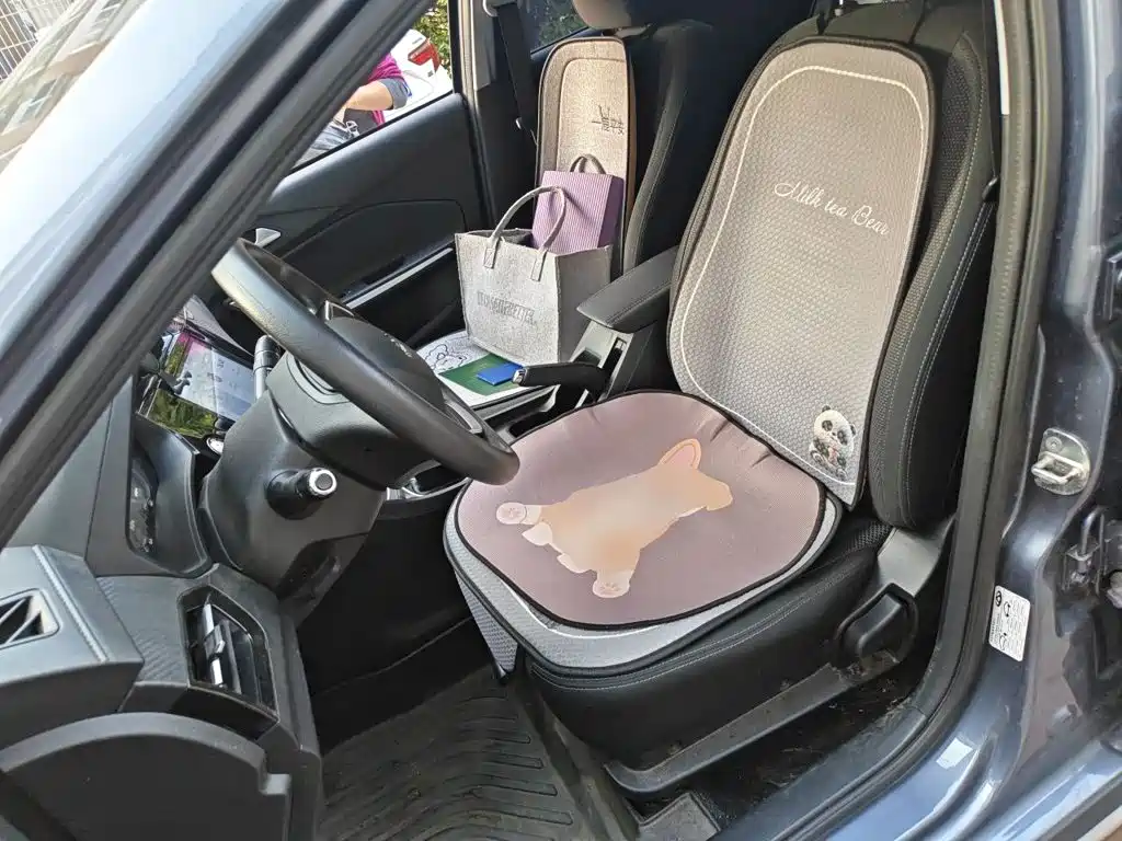Chery Tiggo 3x — миниатюра 11
