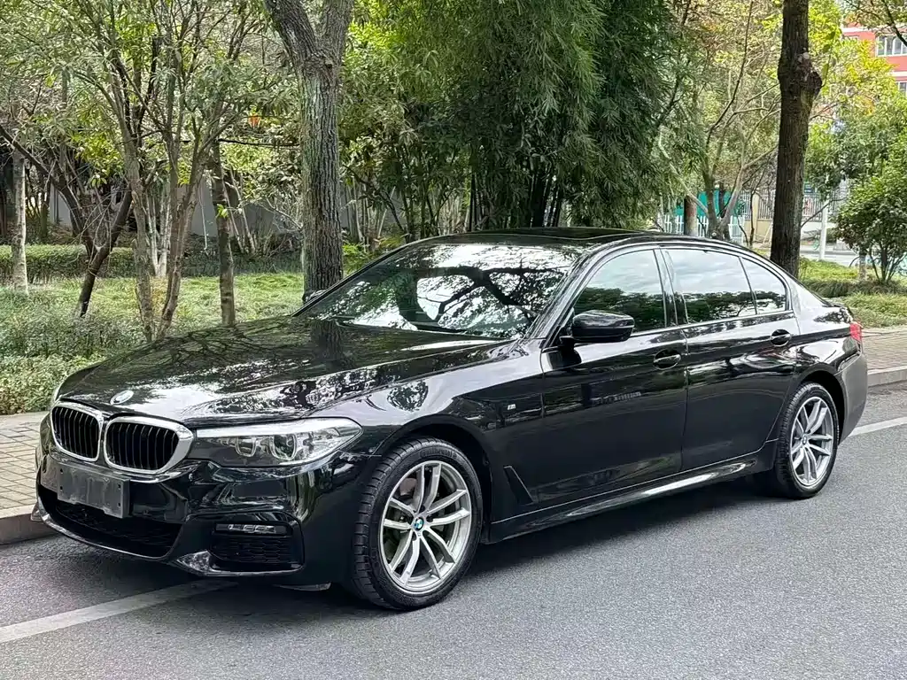 BMW 5 Series 5 2019 525Li M Sport
