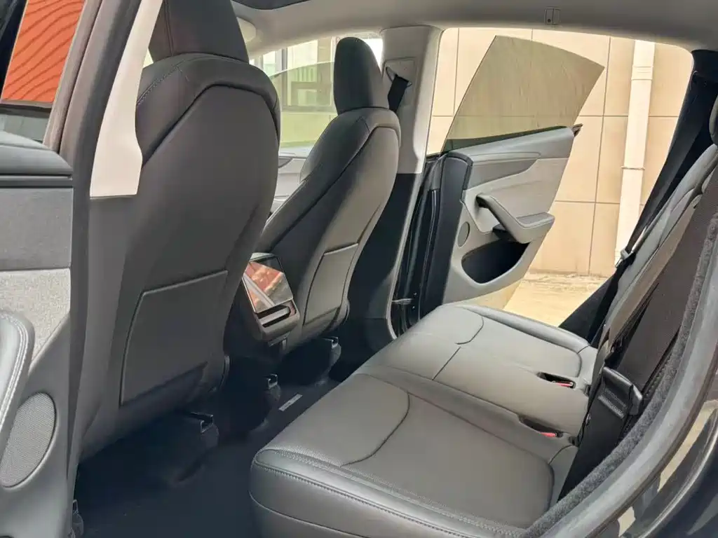 Tesla Model Y — миниатюра 8