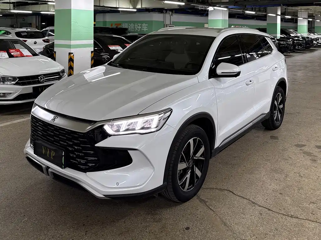 BYD Pro New Energy