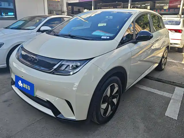 2024 BYD Dolphin
