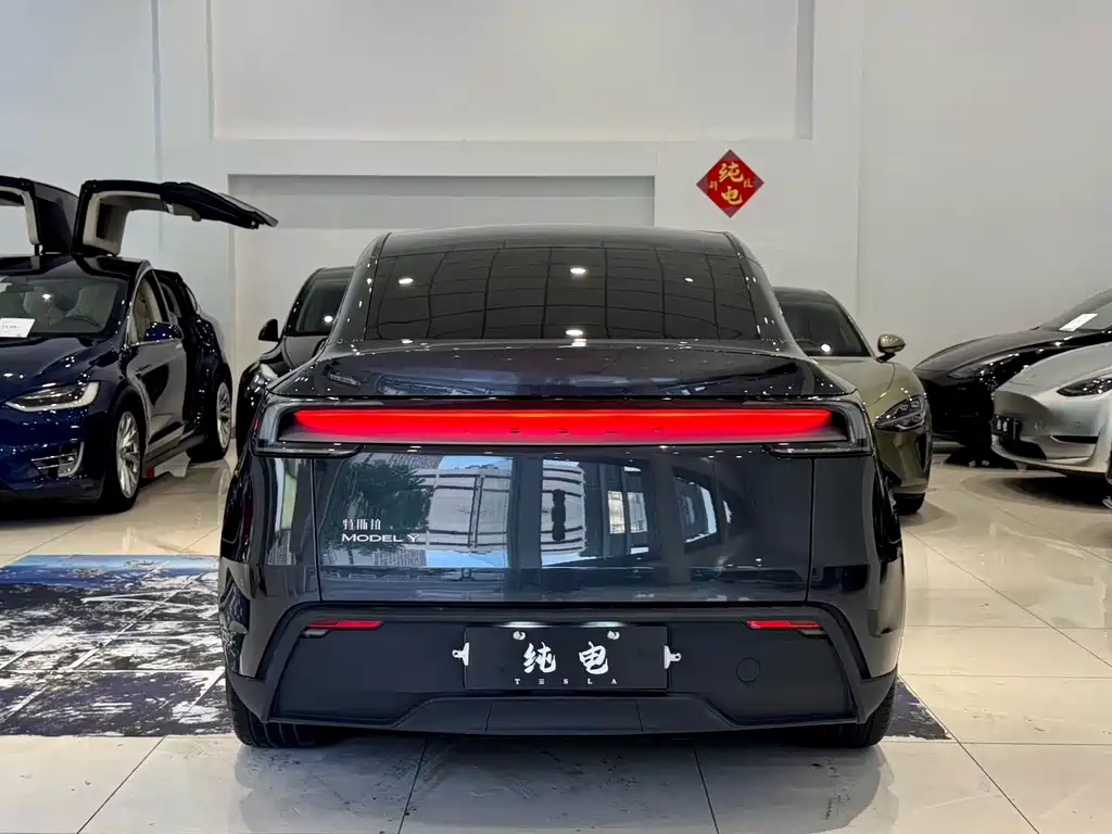 Tesla Model Y — миниатюра 14