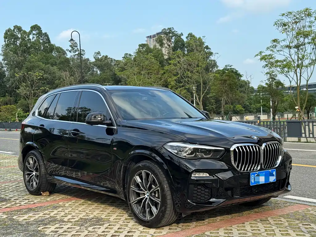 BMW X5 2021 xDrive30i M Sport