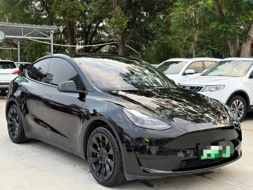 Tesla Model Y — миниатюра 3
