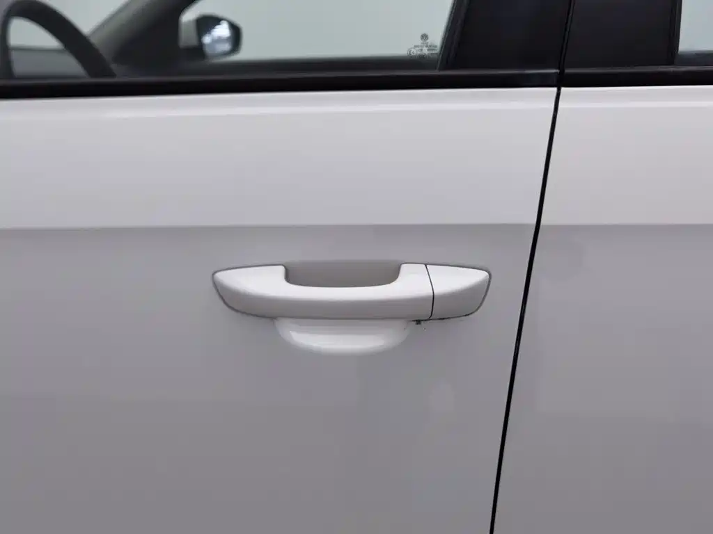 Volkswagen Gran Lavida — миниатюра 18
