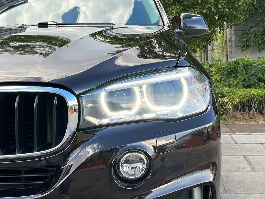 BMW X5 (Import) — миниатюра 26