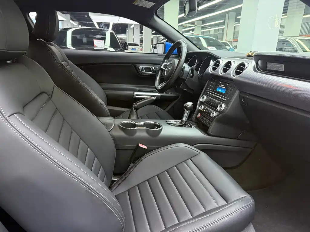 Ford Mustang — миниатюра 16