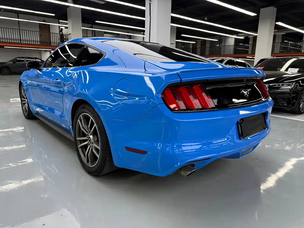 Ford Mustang — миниатюра 20