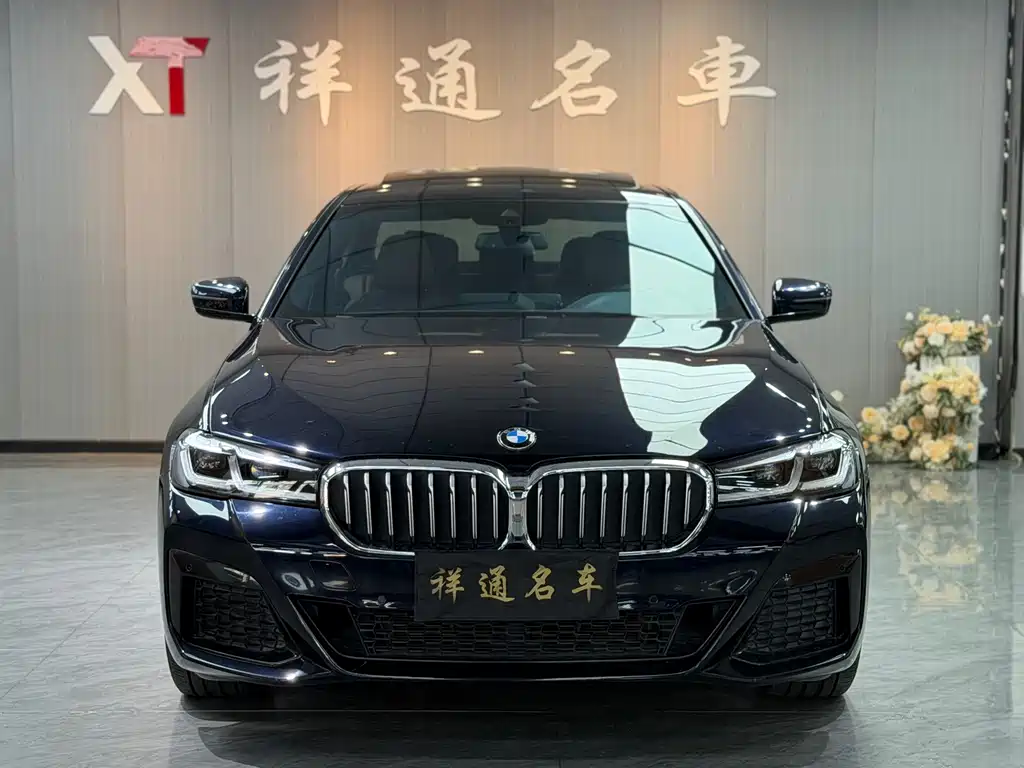 BMW 5 Series — миниатюра 2