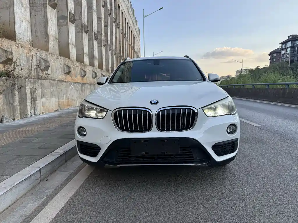 BMW X1 — миниатюра 2