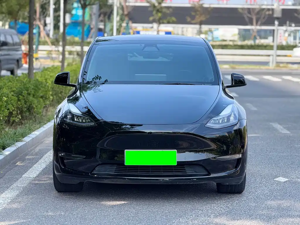 Tesla Model Y — миниатюра 2