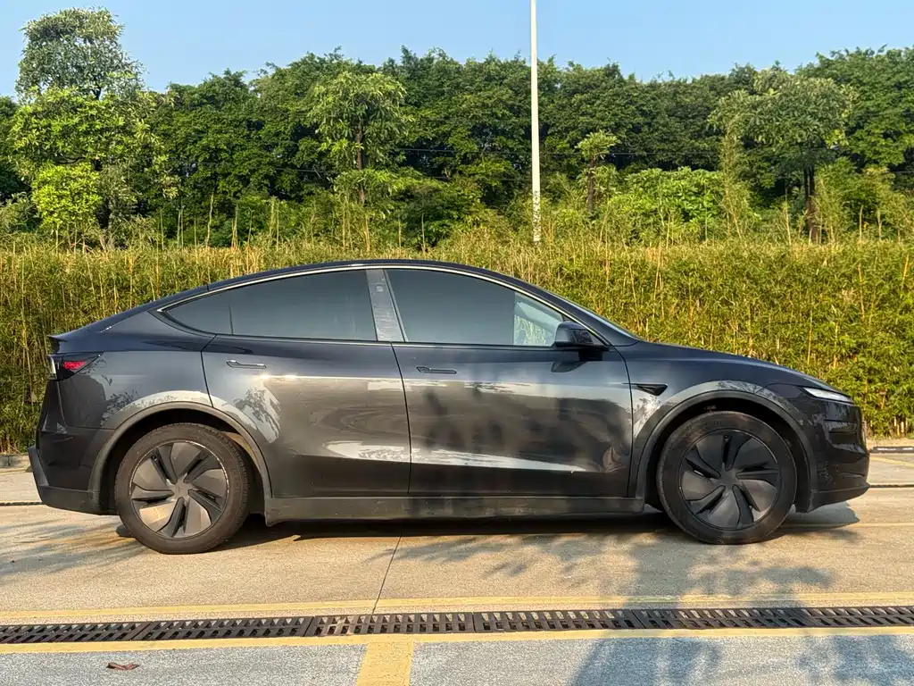 Tesla Model Y — миниатюра 14
