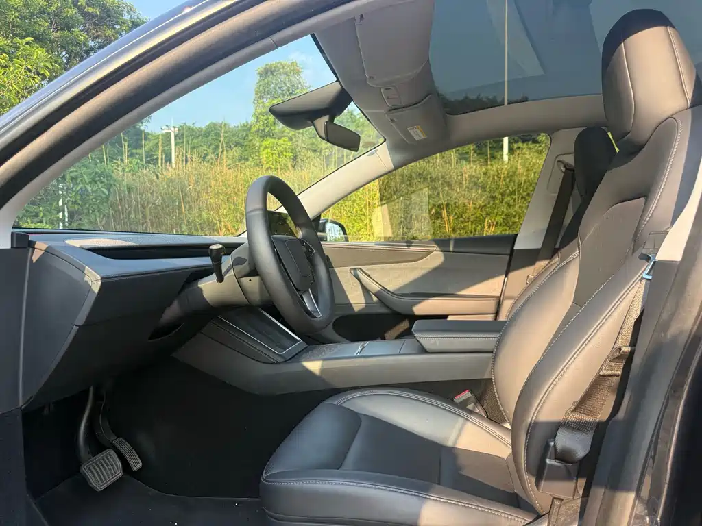 Tesla Model Y — миниатюра 4