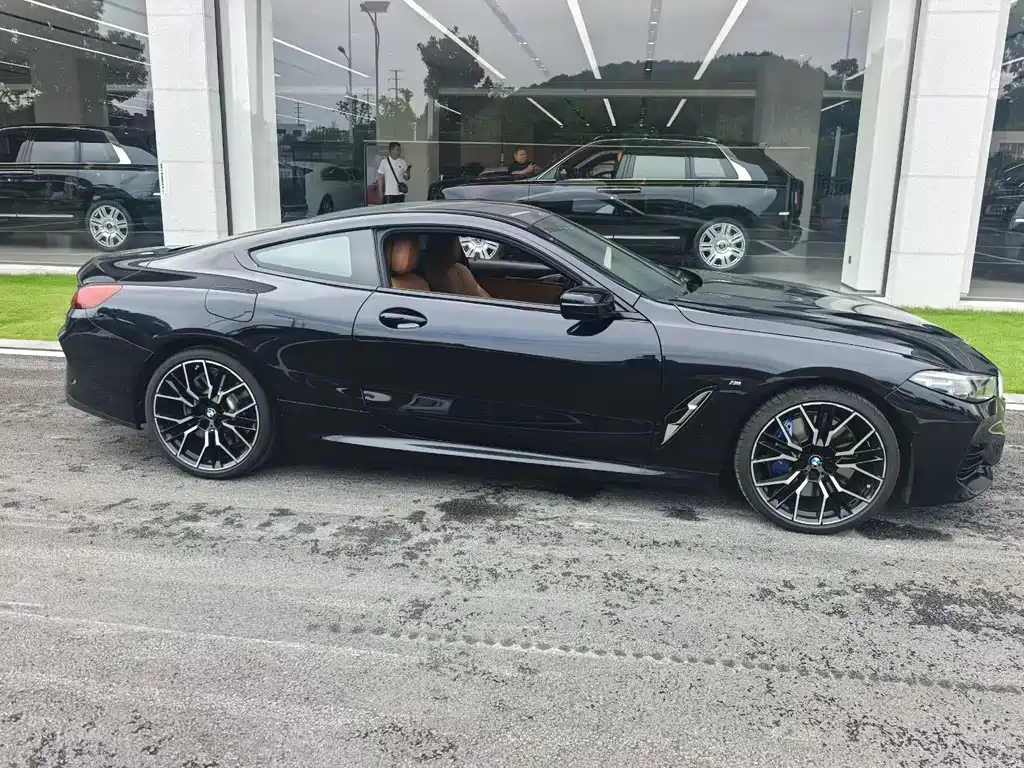 BMW 8 Series — миниатюра 2
