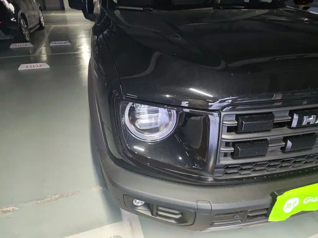 Haval Big Dog — миниатюра 7