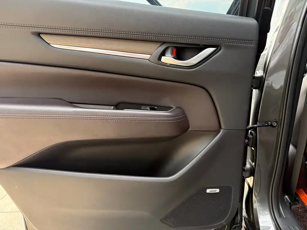 Mazda CX-8 — миниатюра 22