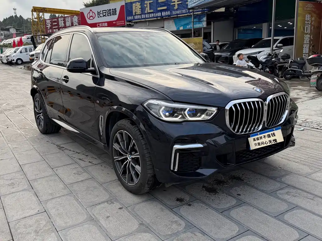BMW X5 — миниатюра 3