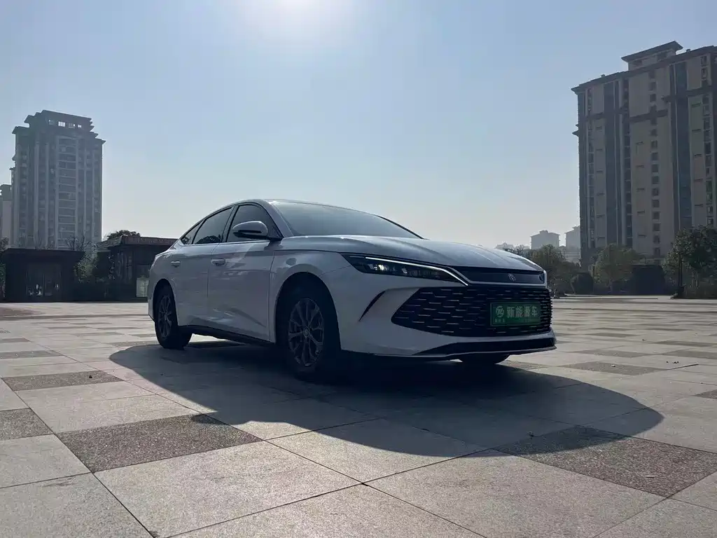 BYD QIN L