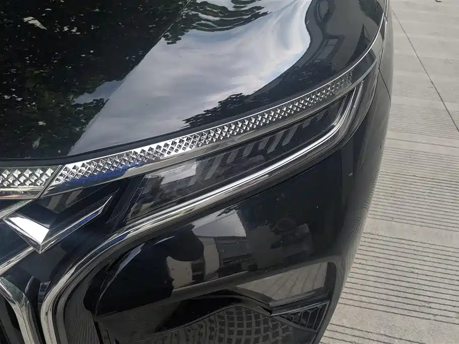 Dongfeng V9 2024 1.5TD 200km Luxury