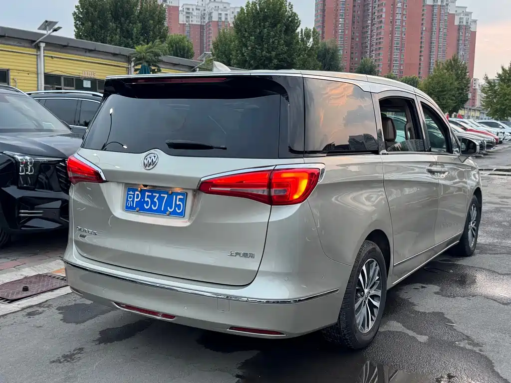 Buick GL8 — миниатюра 15
