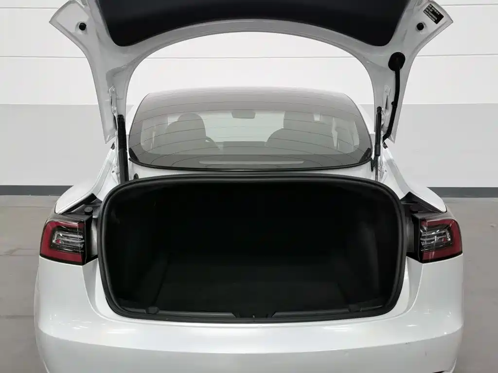Tesla Model 3 — миниатюра 16