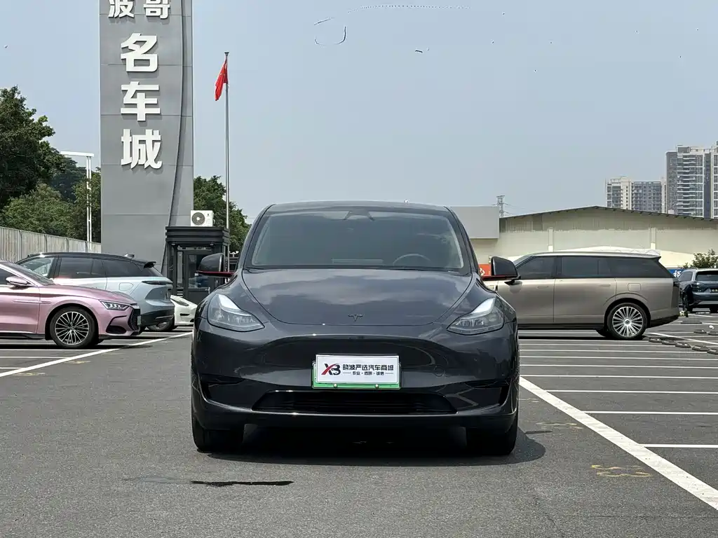 Tesla Model Y — миниатюра 2