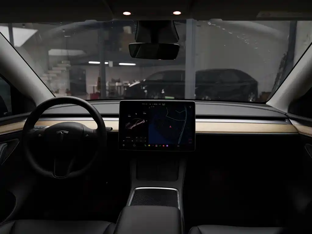 Tesla Model Y — миниатюра 10