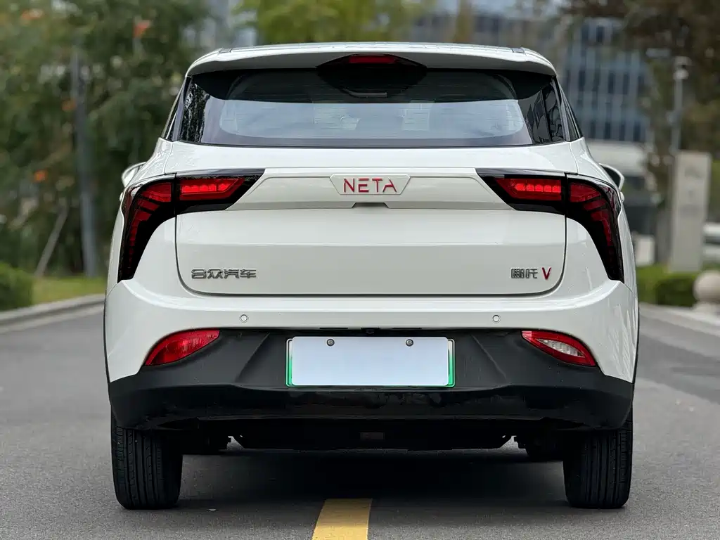 Neta V