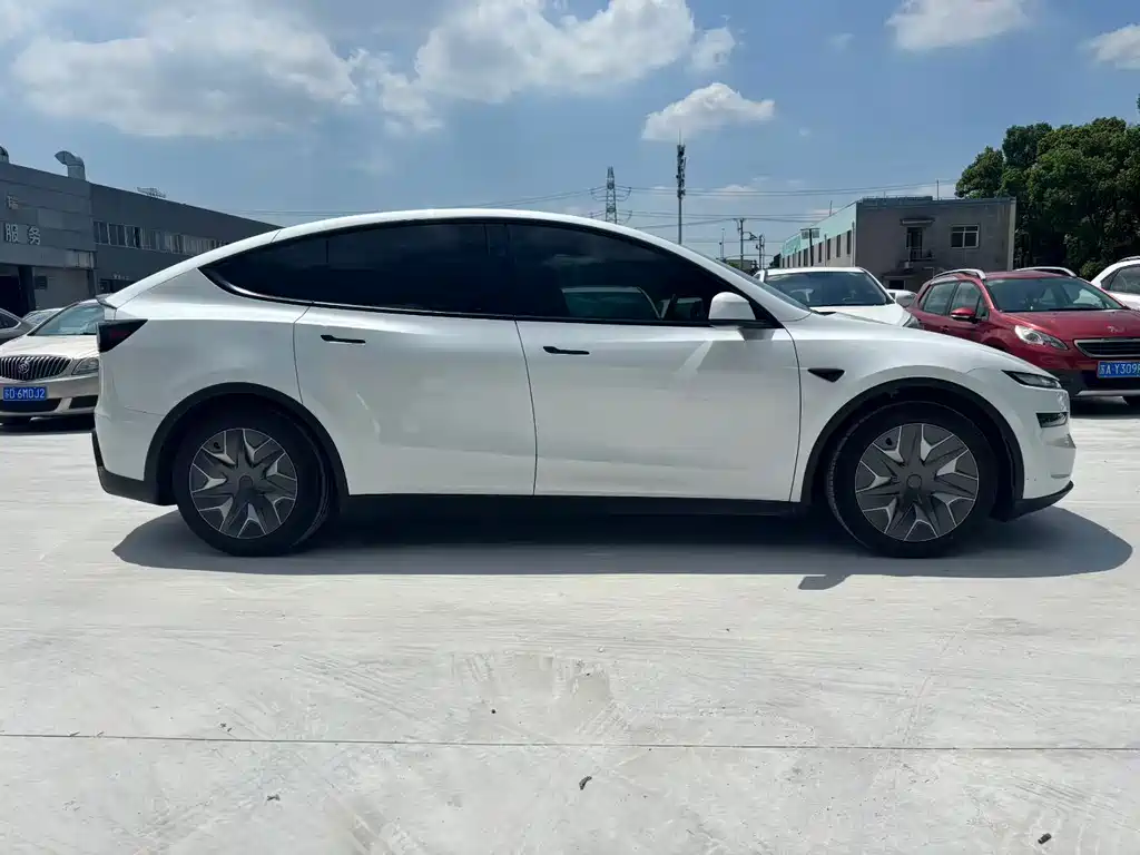 Tesla Model Y — миниатюра 9
