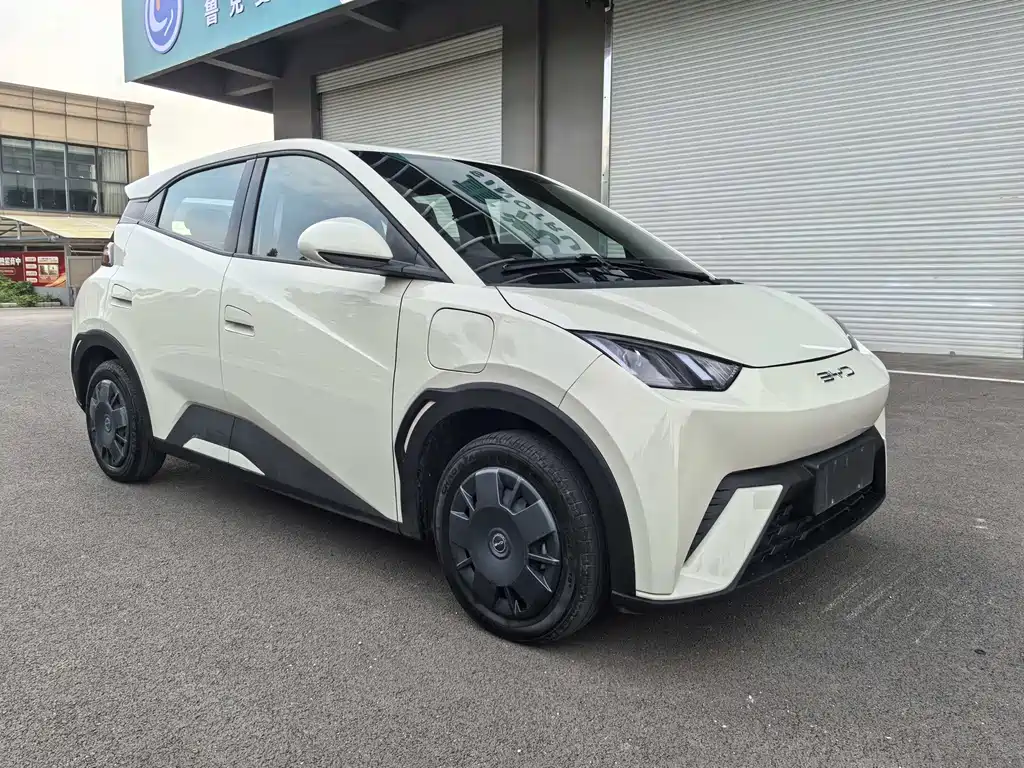 BYD Seagull 2024 305km