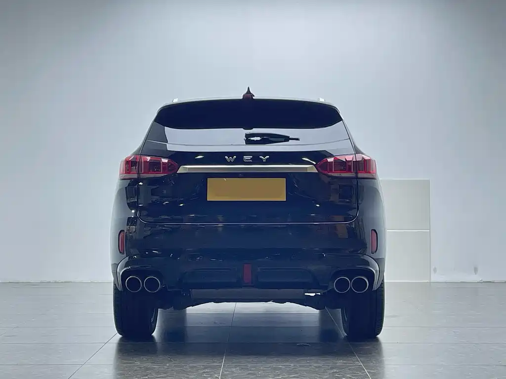 WEI PAI WEI BRAND VV6