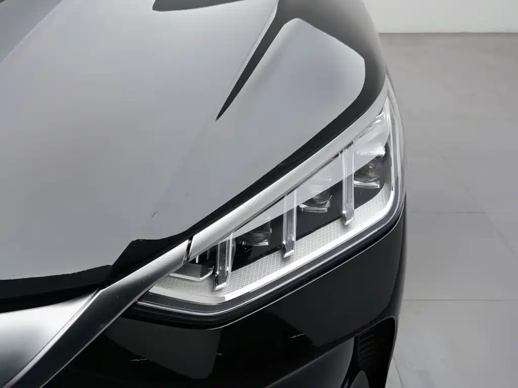 BYD PLUS New Energy — миниатюра 7