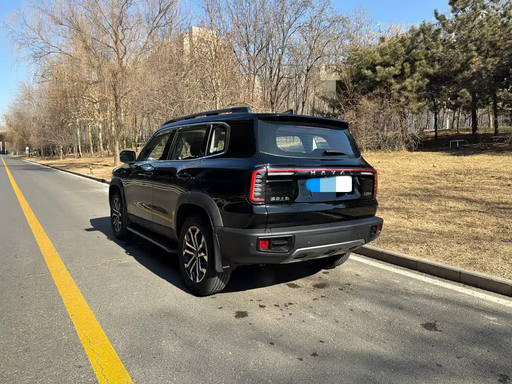 HAVAL BIG DOG