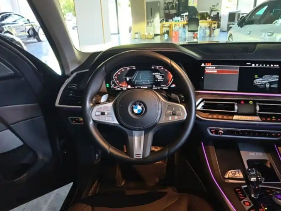BMW X5 — миниатюра 11