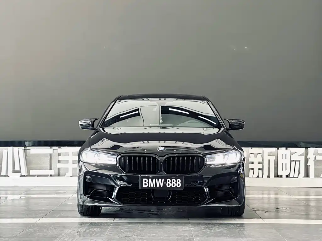 BMW 5 Series — миниатюра 2