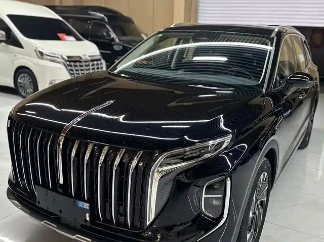 2024 Hongqi HS7
