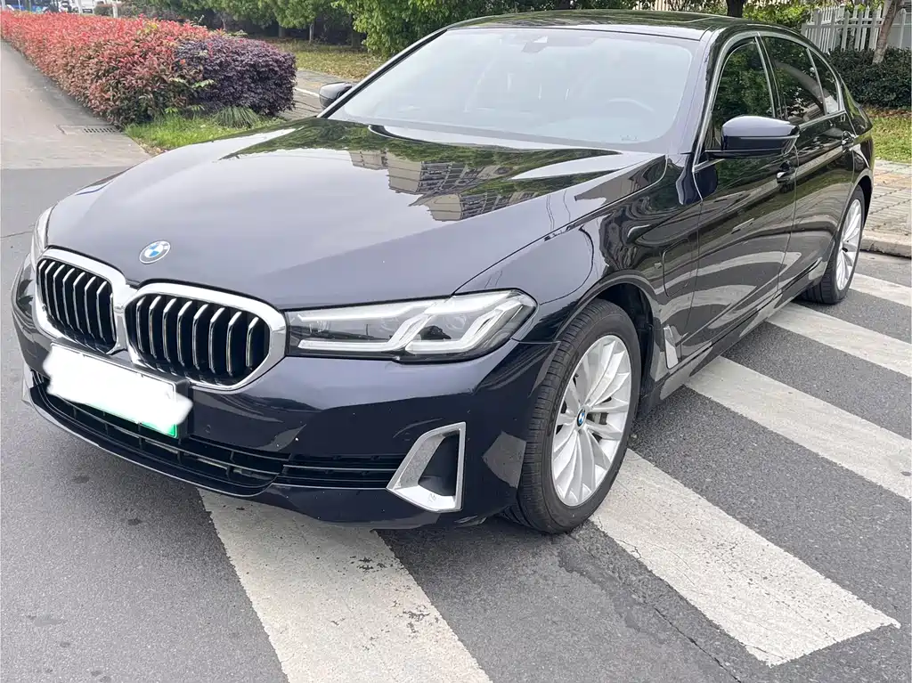 BMW 5 Series New Energy 2021