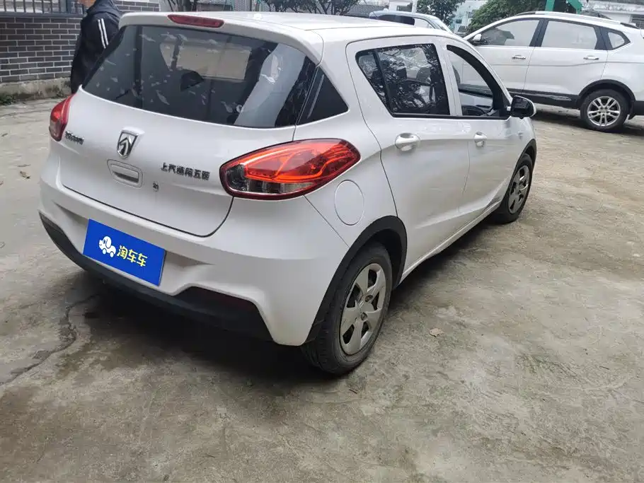BAOJUN 310