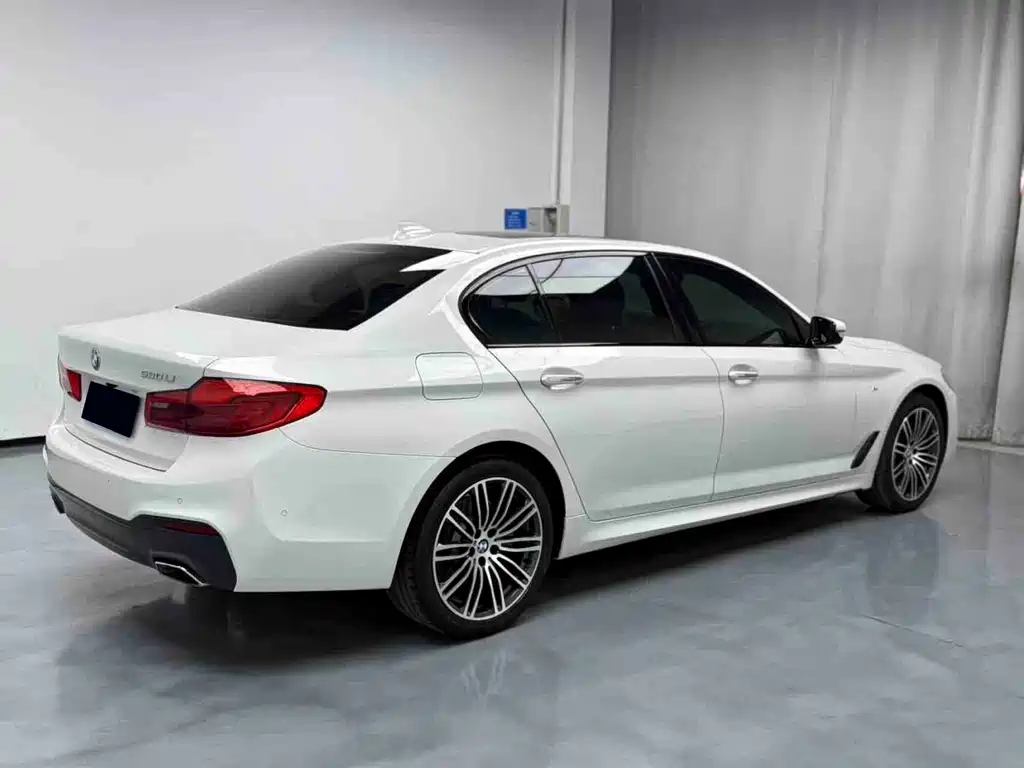 BMW 5 Series 5 2019 530Li Lead Luxury
