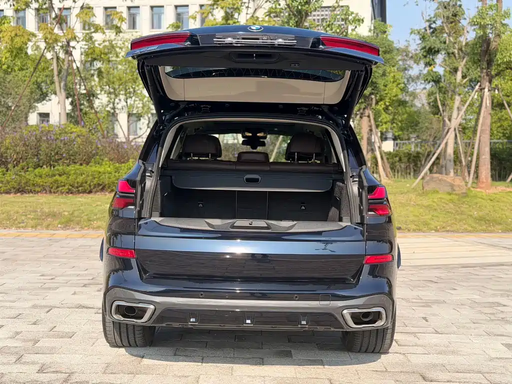 BMW X5 — миниатюра 8