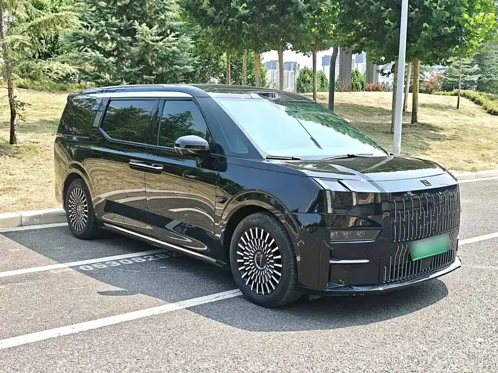 Zeekr 009 2024 мест Executive 140kWh