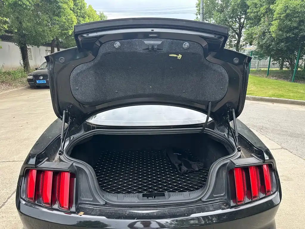 Ford Mustang — миниатюра 32