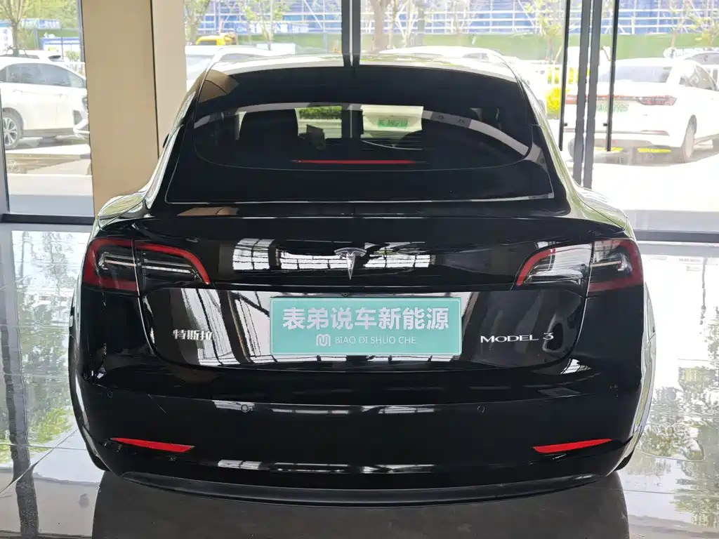 Tesla Model 3 2021 3D6