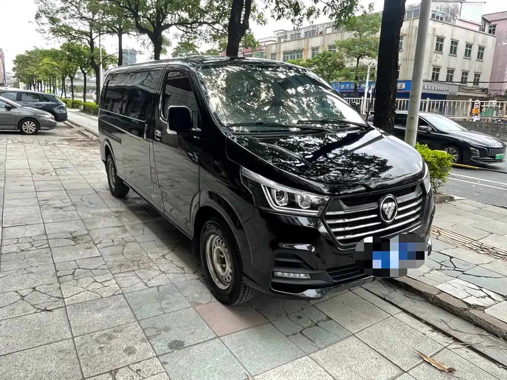 Foton Fengjing G5 2023