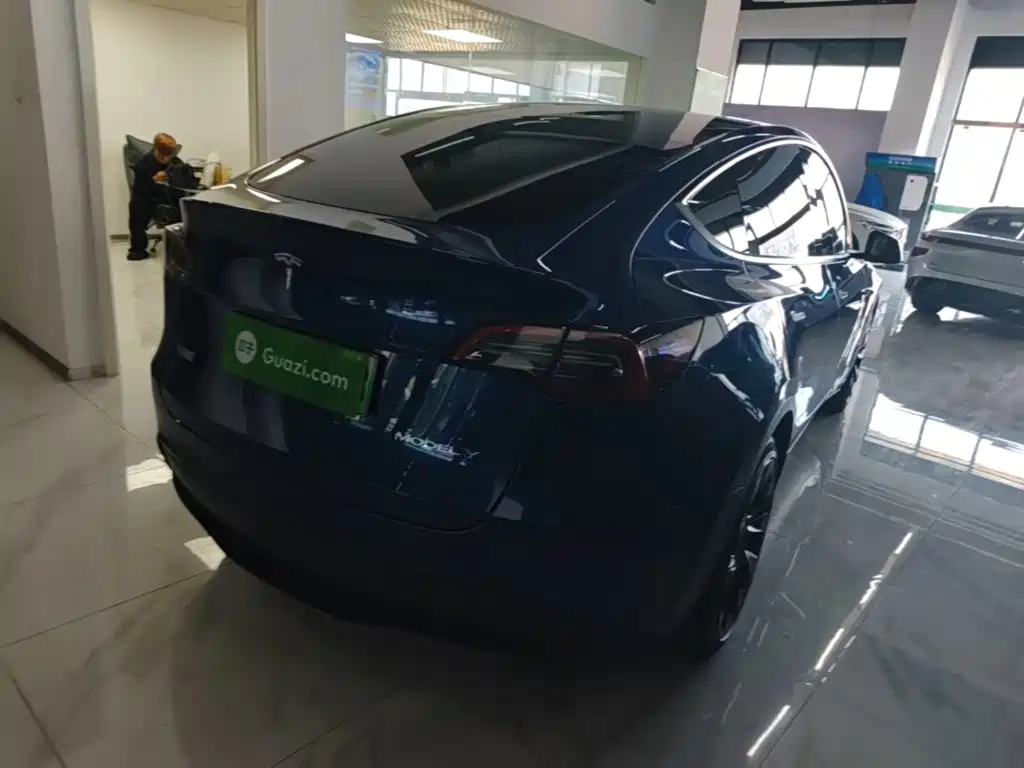 Tesla Model Y — миниатюра 7