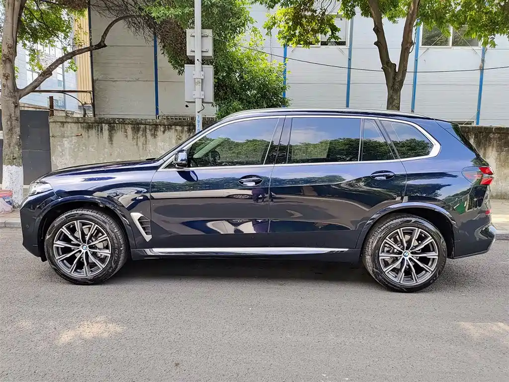 BMW X5 2023 xDrive 30Li M Sport