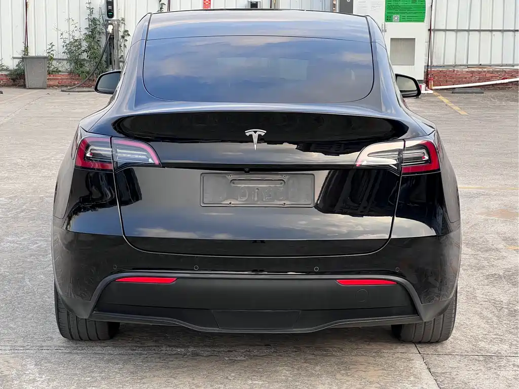 Tesla Model Y — миниатюра 5