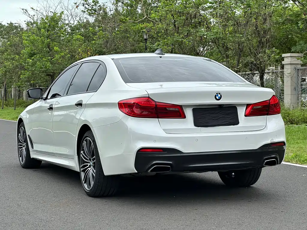 BMW 5 Series 5 2019 530Li Premium M Sport
