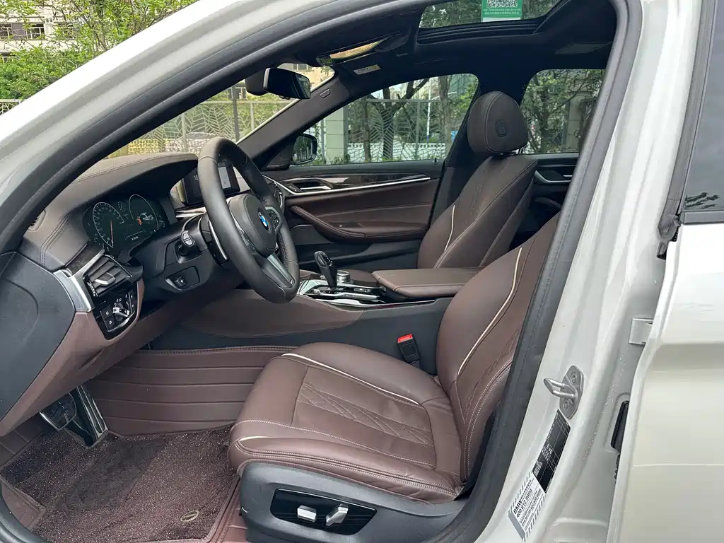 BMW 5 Series 5 2019 530Li Premium M Sport