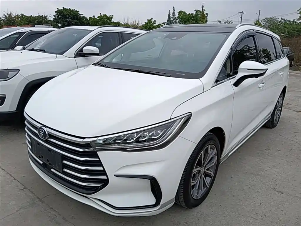 Byd MAX 2021